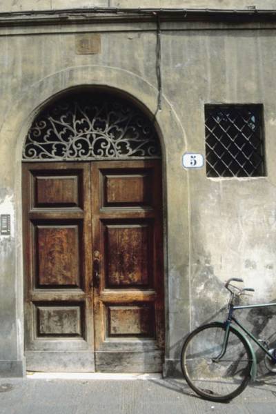 Residential and Commercial decorative finishing